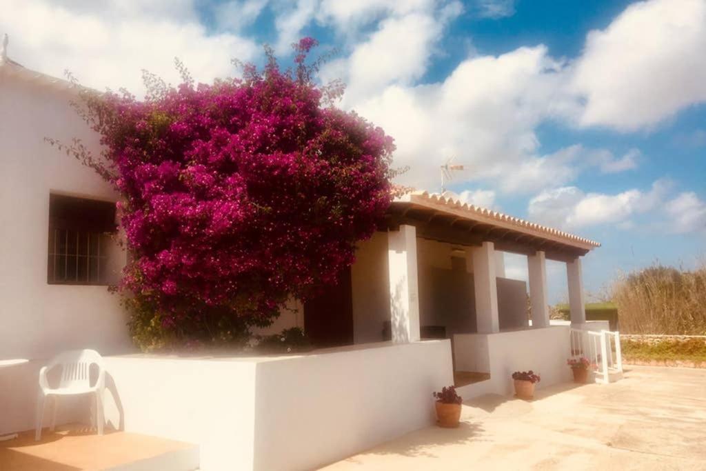 Casa Rural Es Cap De Barbaria San Francisco Javier Exterior foto