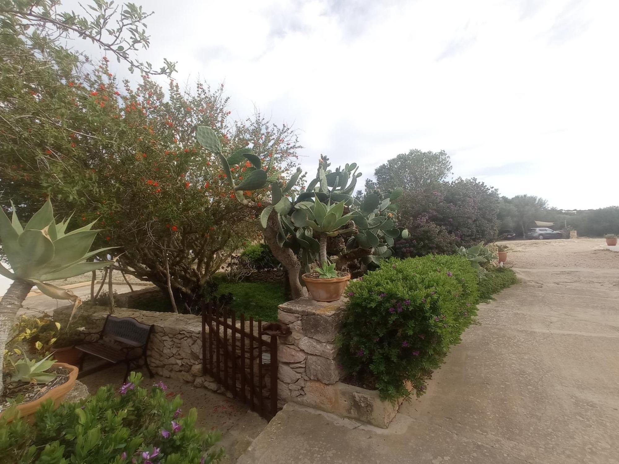 Casa Rural Es Cap De Barbaria San Francisco Javier Exterior foto